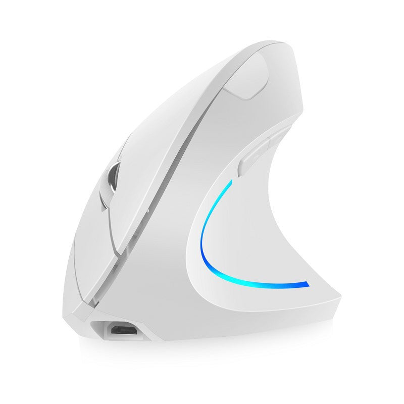 RGB Wireless Ergonomic Mouse 100 Hour Battery life